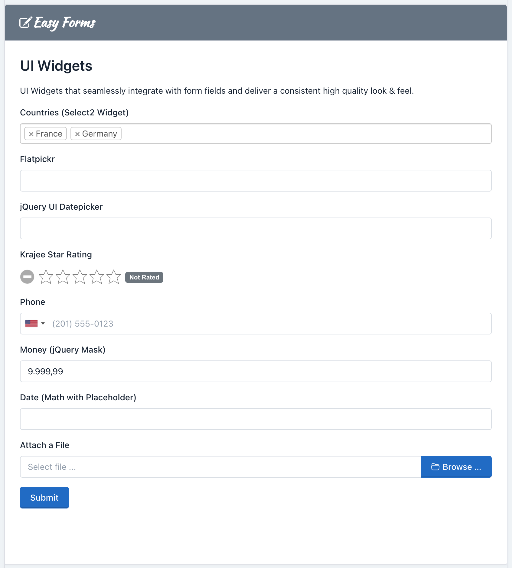Easy Forms - UI Widgets
